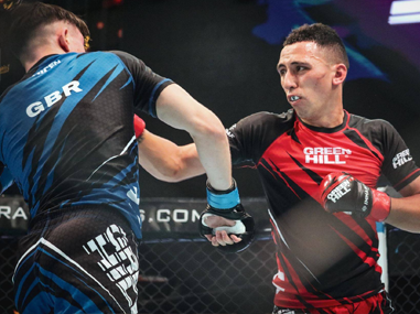 mma_rules_preview.png mma_rules_preview.png
